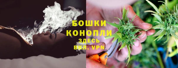 гидра Михайловск