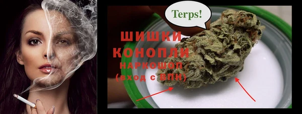 гидра Михайловск