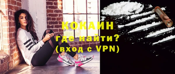гидра Михайловск