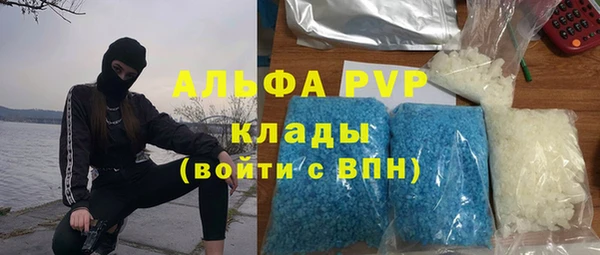 гидра Михайловск
