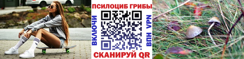 Галлюциногенные грибы GOLDEN TEACHER Новоуральск