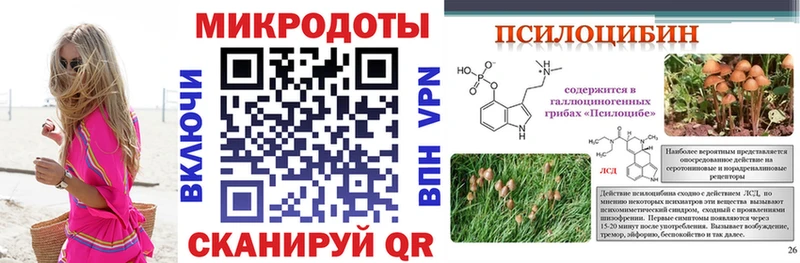 мега ТОР  Новоуральск  Галлюциногенные грибы Psilocybine cubensis 